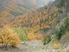 360c2ba-pedraforca-otono-2009-0431