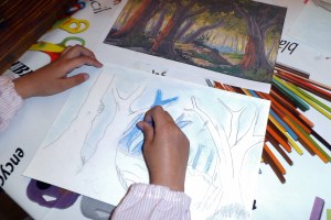 BOSQUE EN AZULES AL PASTEL