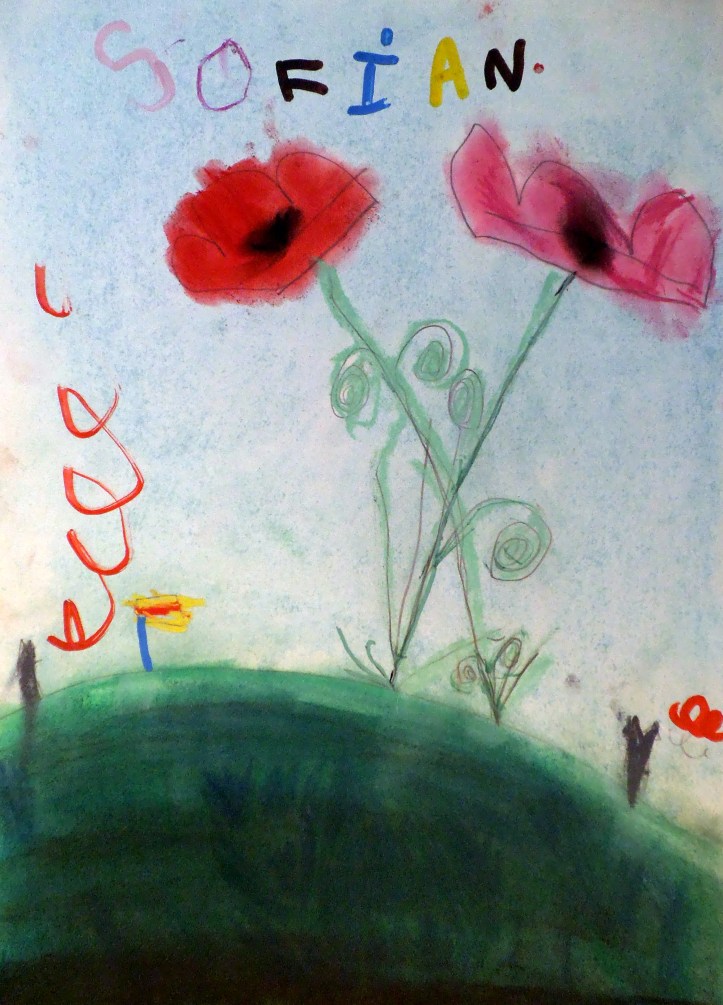AMAPOLAS EN PASTEL POR NIÑA DE 5 AÑOS