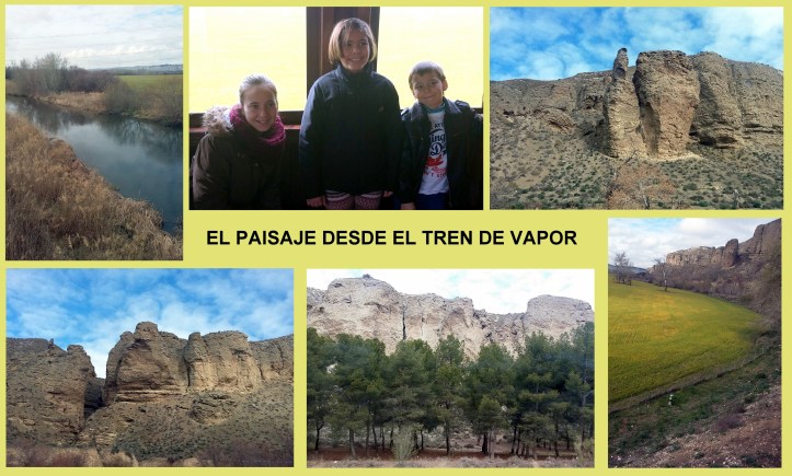 el tren de vapor de arganda planes con niños Madrid 2