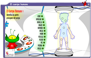 ejercicios-online-interactivos-cuerpo-humano-primaria