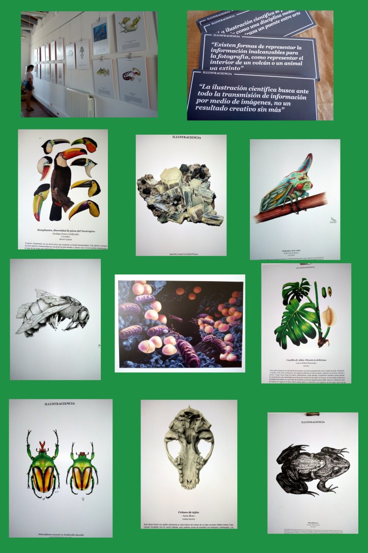 ILUSTRACIENCIA EXPOSICION CASERIO DEL HENARES